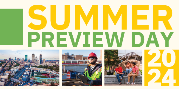 Summer Preview 2024