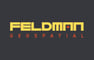 _Feldman_Geospatial_Logo_final black