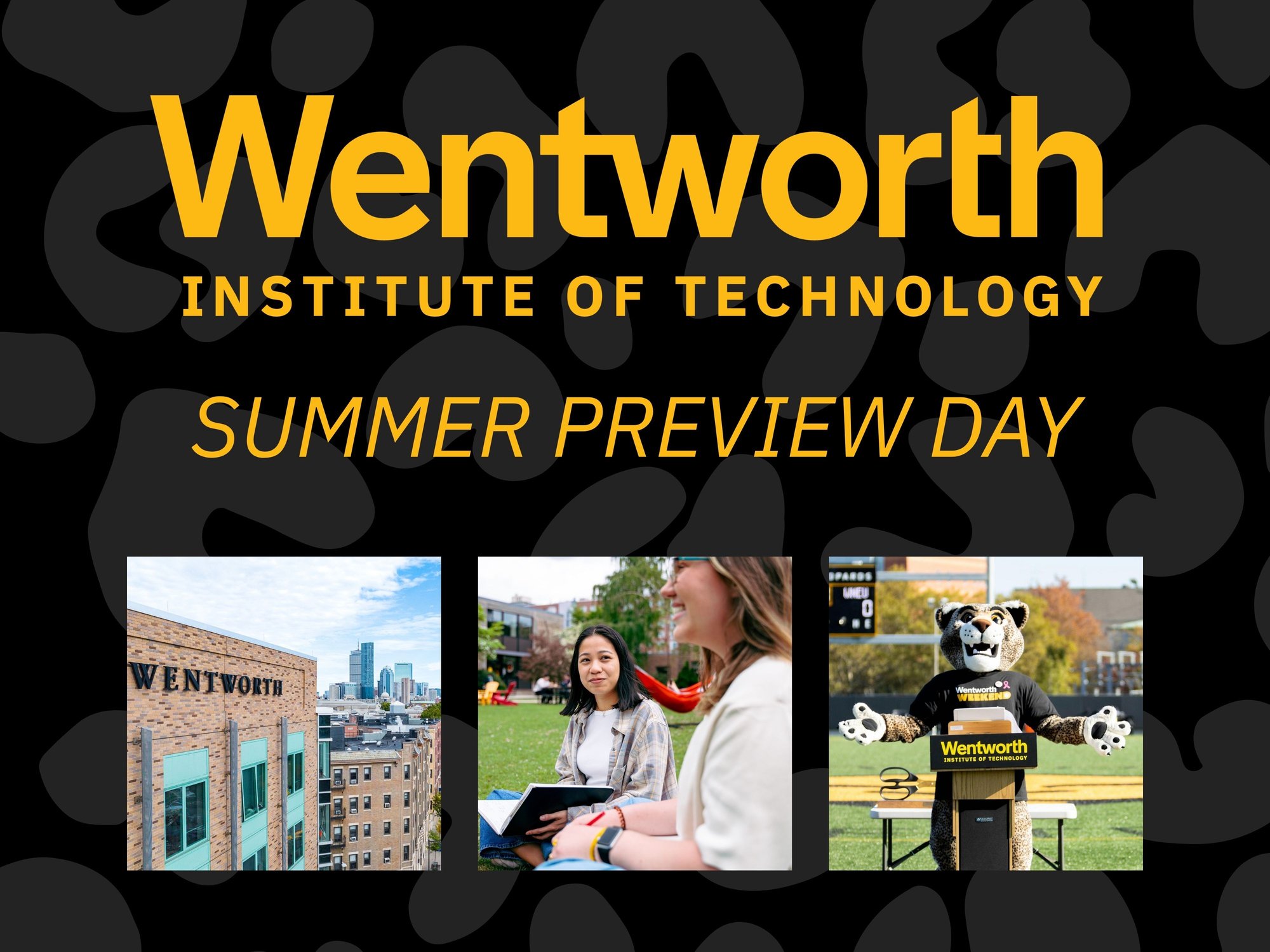 Wentworth Summer Preview Day
