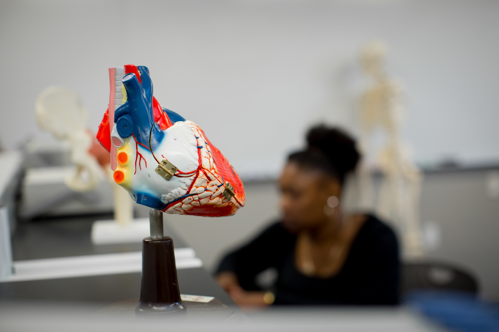 Applied Sciences Undergraduate Degree Students