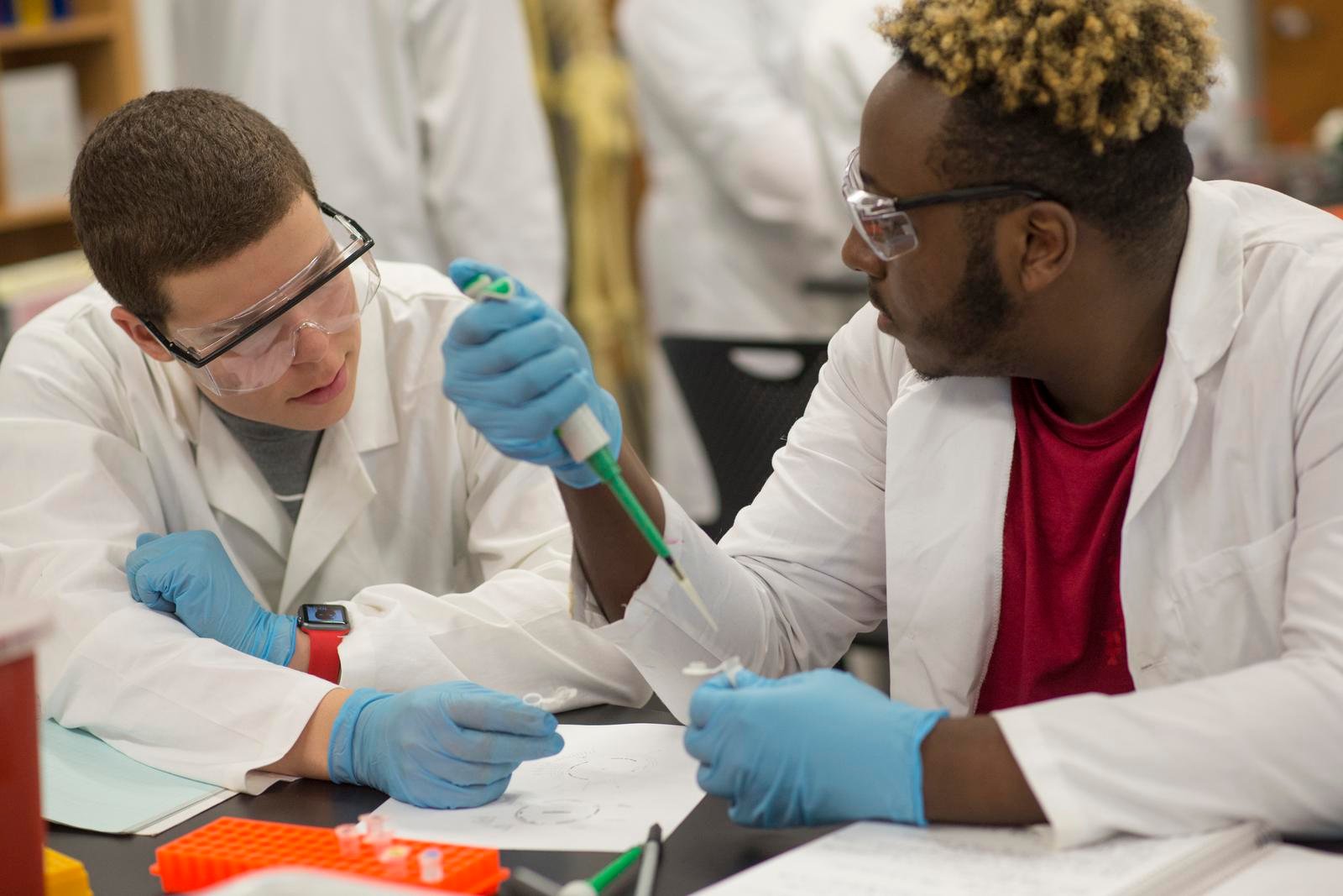 Biological Engineering Undergraduate Degree Students